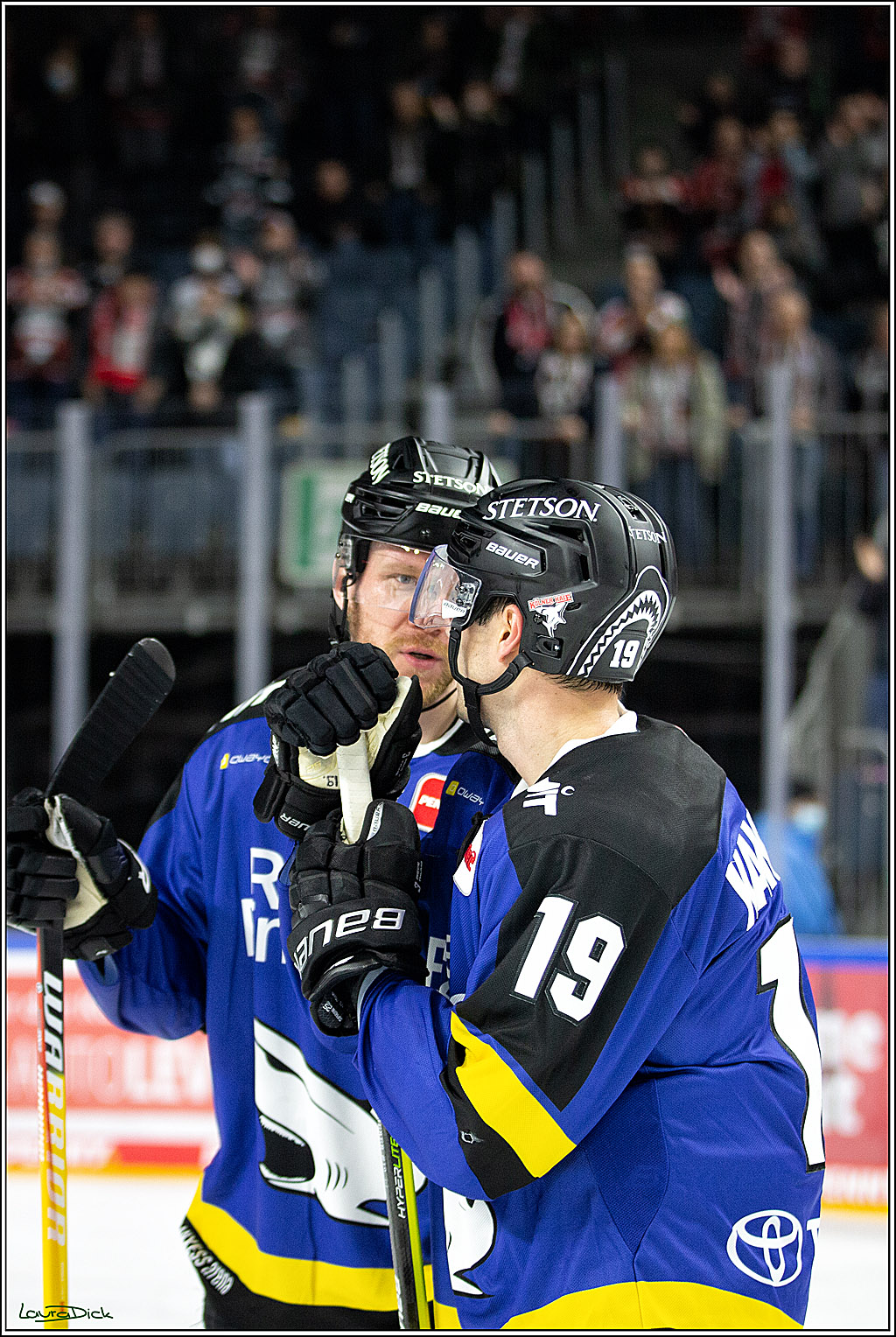 PENNY DEL; Koelner Haie- Fishtown Pinguins Bremerhaven; Koeln, 23.11.2021